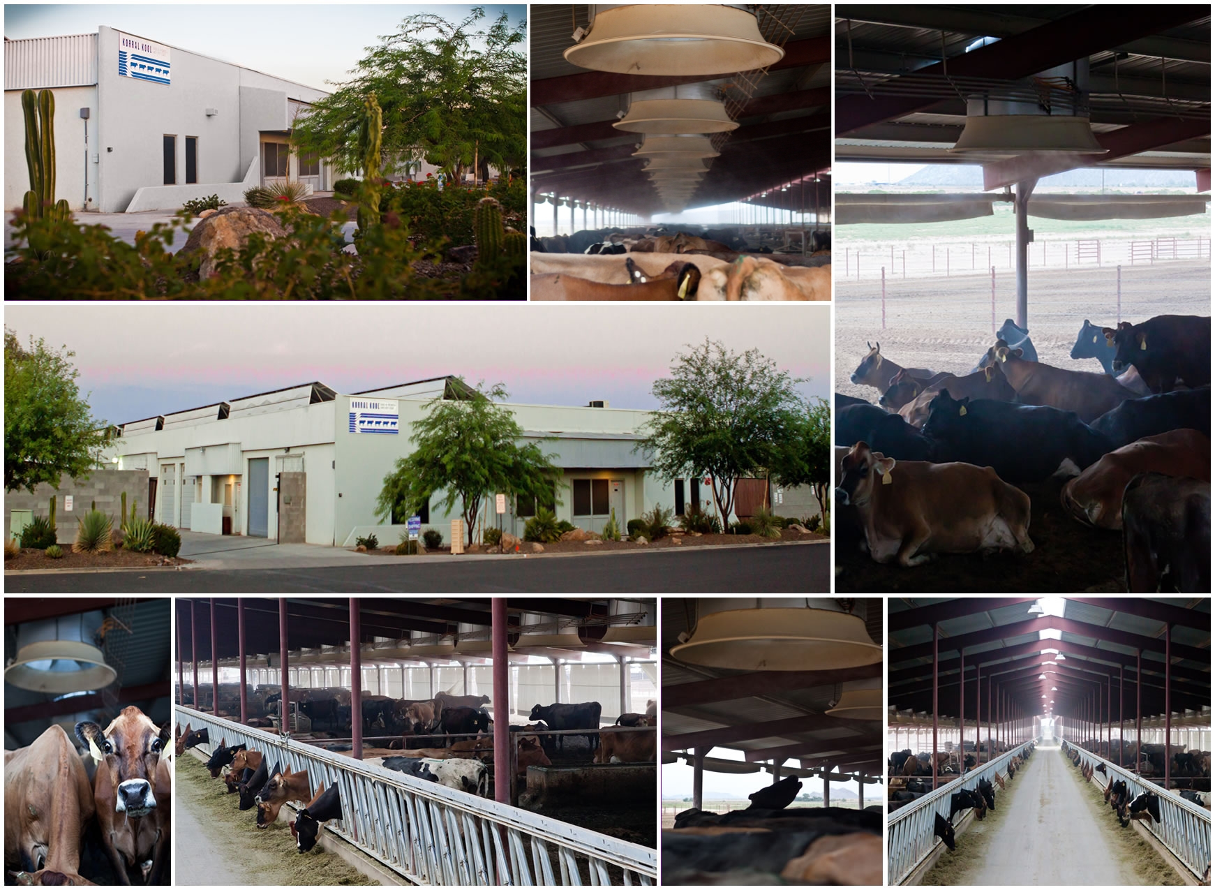 Dairy farm pictures with coolers